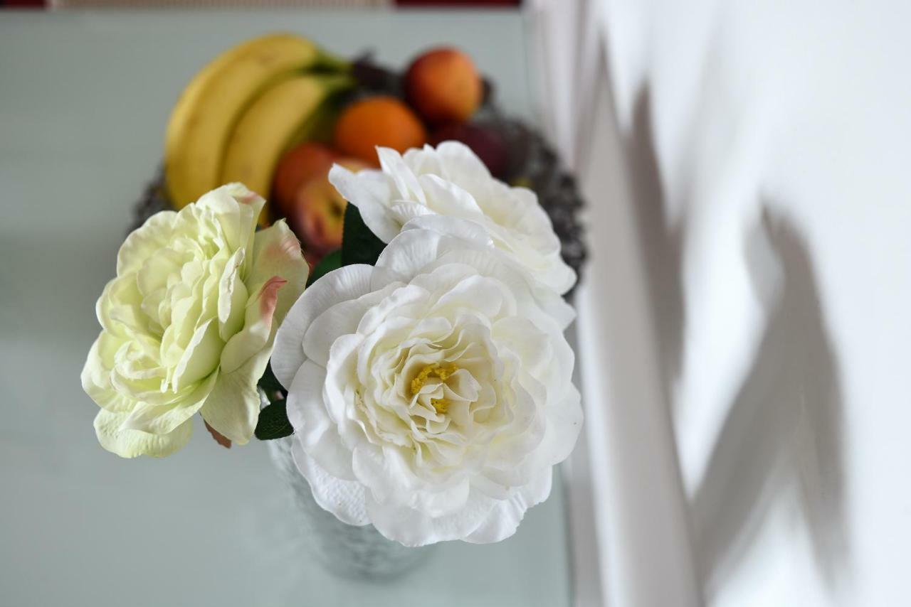 Apartmani Damant Zara Esterno foto